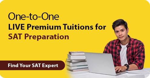 one-to-onc-live-class